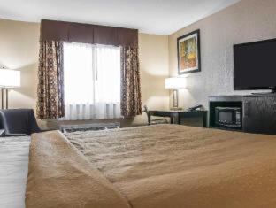 Quality Inn Grand Rapids South-Byron Center Cutlerville Номер фото